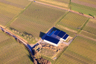 Weingut Cuntz Sonnenhof im Winter in den kahlen Reben im Ortsteil Rechtenbach in Schweigen-Rechtenbach im Bundesland Rheinland-Pfalz, Deutschland