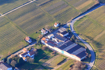Luftaufnahme von Emil Wissing GmbH Wissing Weine am Mandelbaumhain in Oberotterbach im Bundesland Rheinland-Pfalz, Deutschland