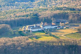 Pferdepension Kloster Liebfrauenberg in Bad Bergzabern im Bundesland Rheinland-Pfalz, Deutschland