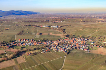 Dorfansicht im Winter aus Süden in Göcklingen im Bundesland Rheinland-Pfalz, Deutschland