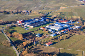 Schrägluftbild von Großkelterei Kleine Kalmit in Ilbesheim bei Landau im Bundesland Rheinland-Pfalz, Deutschland