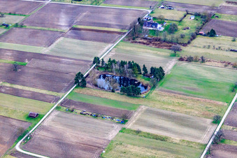 Biotop Idyll mit Weiher in Steinmauern im Bundesland Baden-Württemberg, Deutschland