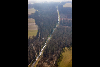 Durb.-Kammb.-Wannenbach-Kanel im Wald im Ortsteil Urloffen in Appenweier im Bundesland Baden-Württemberg, Deutschland