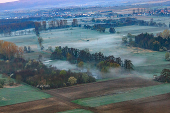 Luftbild von Biotop in der Otterbachniederung im Morgendunst in Minfeld im Bundesland Rheinland-Pfalz, Deutschland