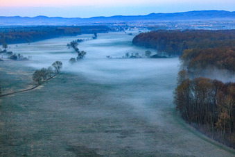 Luftbild von Otterbachniederung im Morgendunst in Freckenfeld im Bundesland Rheinland-Pfalz, Deutschland