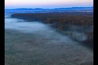 Luftaufnahme von Otterbachniederung im Morgendunst in Freckenfeld im Bundesland Rheinland-Pfalz, Deutschland