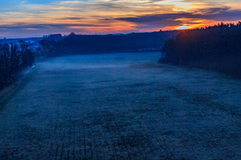 Schrägluftbild von Otterbachniederung im Morgendunst bei Sonnenaufgang in Minfeld im Bundesland Rheinland-Pfalz, Deutschland