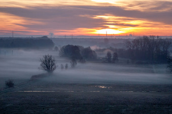 Sonnenaufgang und Nebel auf einem Feld in Minfeld färbt den Himmel gelb und orange im Ortsteil Büchelberg in Wörth am Rhein im Bundesland Rheinland-Pfalz, Deutschland