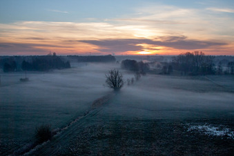 Luftbild von Sonnenaufgang und Nebel auf einem Feld in Minfeld färbt den Himmel gelb und orange im Ortsteil Büchelberg in Wörth am Rhein im Bundesland Rheinland-Pfalz, Deutschland