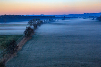 Neugraben in der Otterbachniederung im Morgendunst in Freckenfeld im Bundesland Rheinland-Pfalz, Deutschland