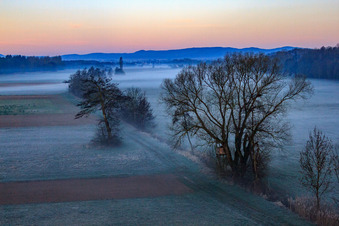 Luftbild von Neugraben in der Otterbachniederung im Morgendunst in Freckenfeld im Bundesland Rheinland-Pfalz, Deutschland