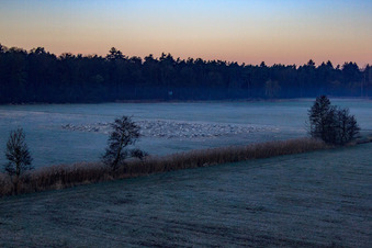 Luftaufnahme von Neugraben in der Otterbachniederung im Morgendunst in Freckenfeld im Bundesland Rheinland-Pfalz, Deutschland