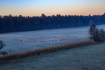 Schrägluftbild von Neugraben in der Otterbachniederung im Morgendunst in Freckenfeld im Bundesland Rheinland-Pfalz, Deutschland