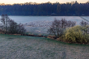 Neugraben in der Otterbachniederung im Morgendunst in Freckenfeld im Bundesland Rheinland-Pfalz, Deutschland aus der Luft