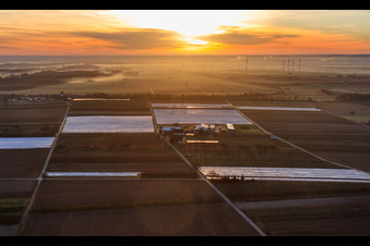 Bauers Garten bei Sonnenaufgang in Winden im Bundesland Rheinland-Pfalz, Deutschland