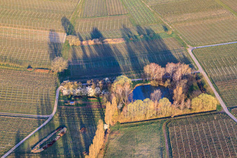 Weiher an der Aalmühl in Ilbesheim bei Landau im Bundesland Rheinland-Pfalz, Deutschland