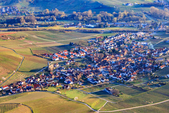 Winzerdorf im Morgenlicht aus Süden in Birkweiler im Bundesland Rheinland-Pfalz, Deutschland