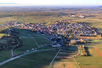 Winzerdorf im Morgenlicht aus Norden in Ilbesheim bei Landau im Bundesland Rheinland-Pfalz, Deutschland