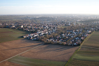 Wiese und Brache zw. Landau W, Wollmesheim und Arzheim in Landau in der Pfalz im Bundesland Rheinland-Pfalz, Deutschland