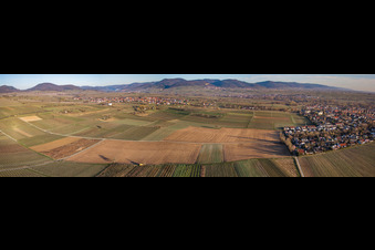 Felder zwischen Landau W und Arzheim im Ortsteil Wollmesheim in Landau in der Pfalz im Bundesland Rheinland-Pfalz, Deutschland