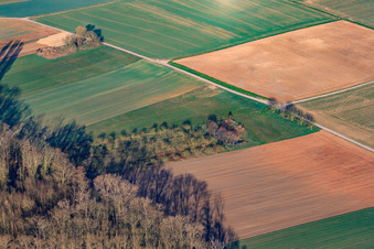Luftbild von Waldrand am Hofgraben im Ortsteil Dreihof in Essingen im Bundesland Rheinland-Pfalz, Deutschland