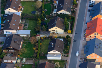 Schrägluftbild von Forstlandallee in Jockgrim im Bundesland Rheinland-Pfalz, Deutschland