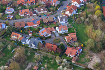 Orchideenstr in Jockgrim im Bundesland Rheinland-Pfalz, Deutschland