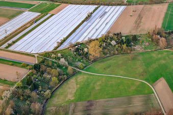 Gärten am Rheinzaberner Randgraben im Bundesland Rheinland-Pfalz, Deutschland