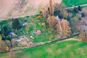 Luftaufnahme von Gärten am Rheinzaberner Randgraben im Bundesland Rheinland-Pfalz, Deutschland
