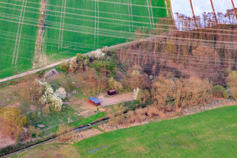Schrägluftbild von Gärten am Rheinzaberner Randgraben im Bundesland Rheinland-Pfalz, Deutschland