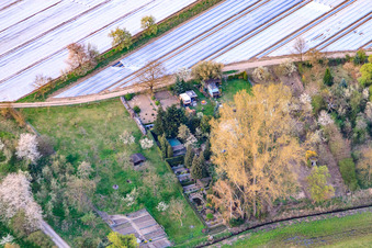 Gärten am Rheinzaberner Randgraben im Bundesland Rheinland-Pfalz, Deutschland von oben