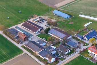 Schrägluftbild von Burgerhof Neupotz und Jägerhof Direktvermarktung im Bundesland Rheinland-Pfalz, Deutschland