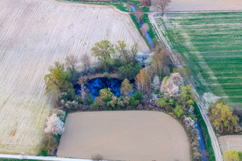 Angelweiher am Altrhein bei Neupotz in Leimersheim im Bundesland Rheinland-Pfalz, Deutschland