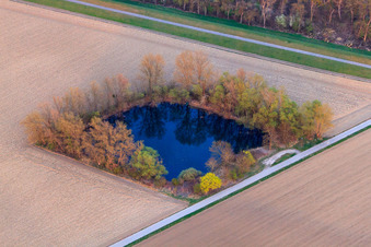 Angelweiher am Rheindamm in Leimersheim im Bundesland Rheinland-Pfalz, Deutschland