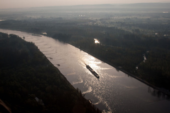 Uferbereiche am Flußverlauf Rhein in Lauterbourg in Grand Est im Bundesland Bas-Rhin, Frankreich