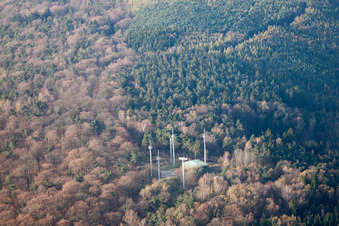 Cleebourg im Bundesland Bas-Rhin, Frankreich aus der Luft