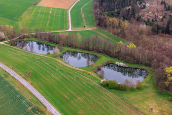 Mellrichstadt/Sondheim