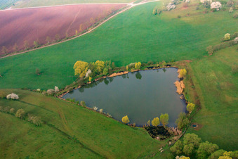 Weiher zwischen Wiesen in Sulzdorf an der Lederhecke im Bundesland Bayern, Deutschland