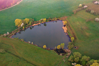 Luftbild von Weiher zwischen Wiesen in Sulzdorf an der Lederhecke im Bundesland Bayern, Deutschland