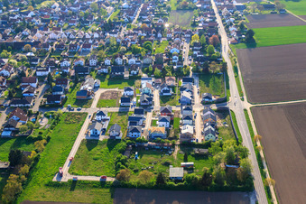 Neubaugebiet Ost (Im Holderbusch) in Minfeld im Bundesland Rheinland-Pfalz, Deutschland