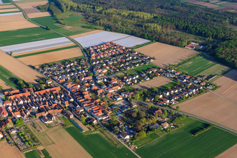 Nikolausstraße nach Hatzenbühl im Ortsteil Hayna in Herxheim bei Landau im Bundesland Rheinland-Pfalz, Deutschland