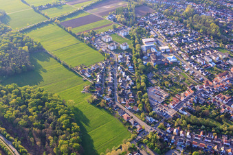 Drohnenaufname von Albert-Detzel-Straße in Herxheim bei Landau im Bundesland Rheinland-Pfalz, Deutschland