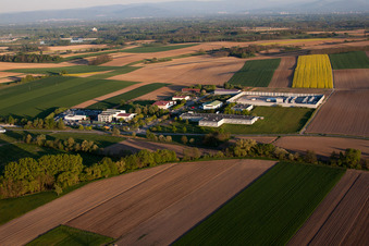 Scheibenhard im Bundesland Bas-Rhin, Frankreich von oben