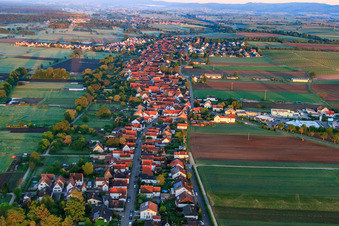 Luftaufnahme von Dorfansicht am Morgen von Osten in Freckenfeld im Bundesland Rheinland-Pfalz, Deutschland