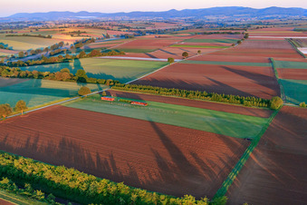 Modellflugplatz des Modellflugverein Freckenfeld e.V im Bundesland Rheinland-Pfalz, Deutschland aus der Vogelperspektive