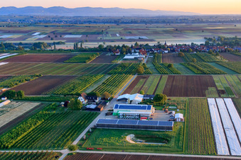 Bauers Garten von Süden am Morgen in Winden im Bundesland Rheinland-Pfalz, Deutschland