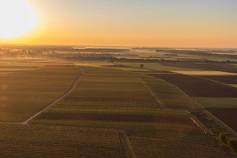 Luftbild von Sonnenaufgang über dem Dorf in Steinweiler im Bundesland Rheinland-Pfalz, Deutschland