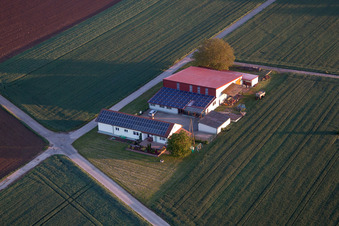 Billigheim-Ingenheim im Bundesland Rheinland-Pfalz, Deutschland von oben