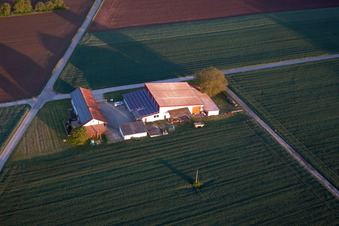 Billigheim-Ingenheim im Bundesland Rheinland-Pfalz, Deutschland von oben gesehen