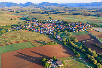 Dorfansicht am Morgen aus Osten in Impflingen im Bundesland Rheinland-Pfalz, Deutschland